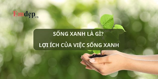 Sống xanh là gì? 11 lợi ích của việc sống xanh mỗi ngày