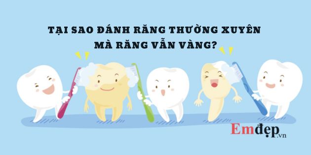 Nguyên nhân tại sao đánh răng thường xuyên mà răng vẫn vàng?