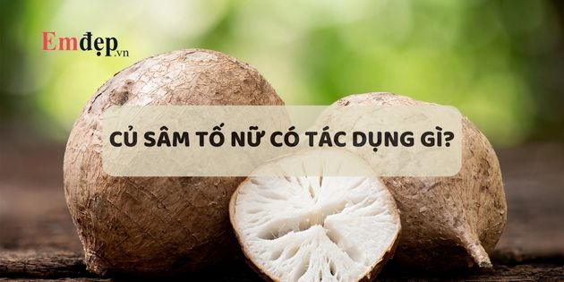 Củ sâm tố nữ có tác dụng gì? 7 Công dụng của sâm tố nữ