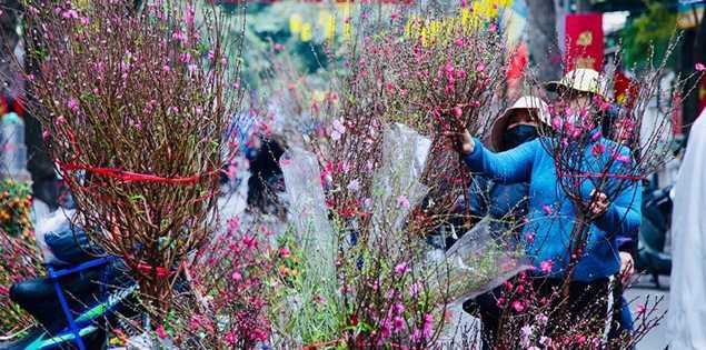 Tết Nguyên đán 2024 có thể được nghỉ 7 ngày liên tiếp

