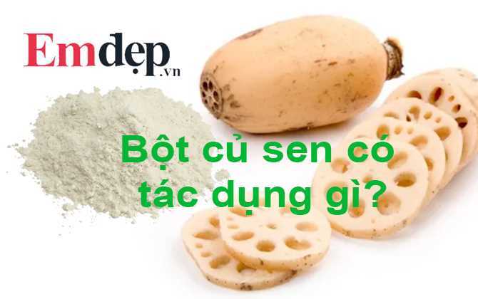 Bột củ sen có tác dụng gì? Cách sử dụng ra sao