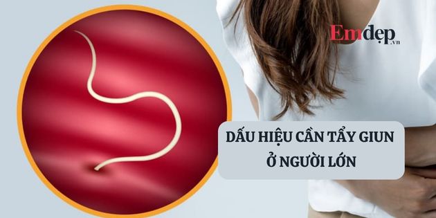 Người lớn cần tẩy giun không? Dấu hiệu cần tẩy giun ở người lớn