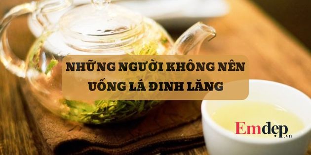 Những người không nên uống lá đinh lăng tránh ảnh hưởng sức khỏe