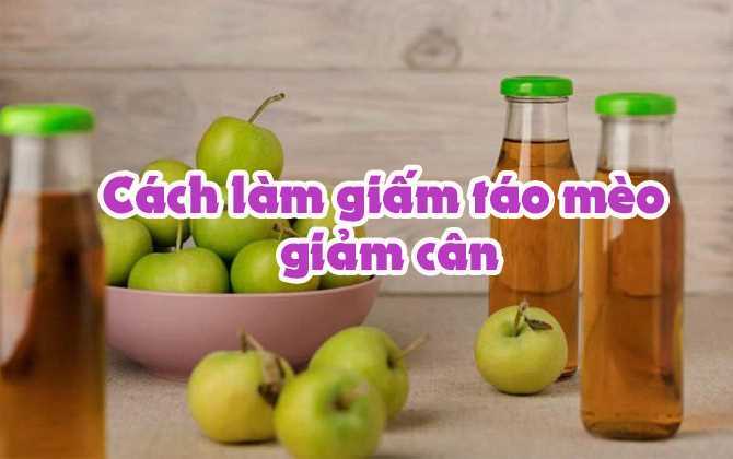 Cách làm giấm táo mèo giảm cân tại nhà đơn giản, hiệu quả