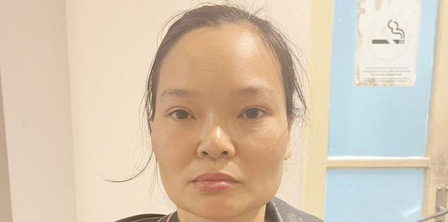 Vào vai môi giới bất động sản, người phụ nữ lừa đảo chiếm đoạt gần 30 tỷ đồng

