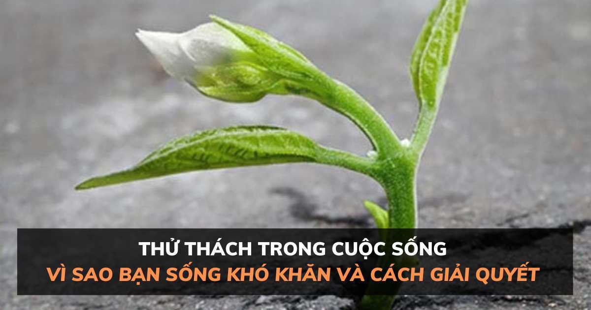 Tại sao cuộc sống lại khó khăn? Những thử thách trong cuộc sống và cách giải quyết chúng