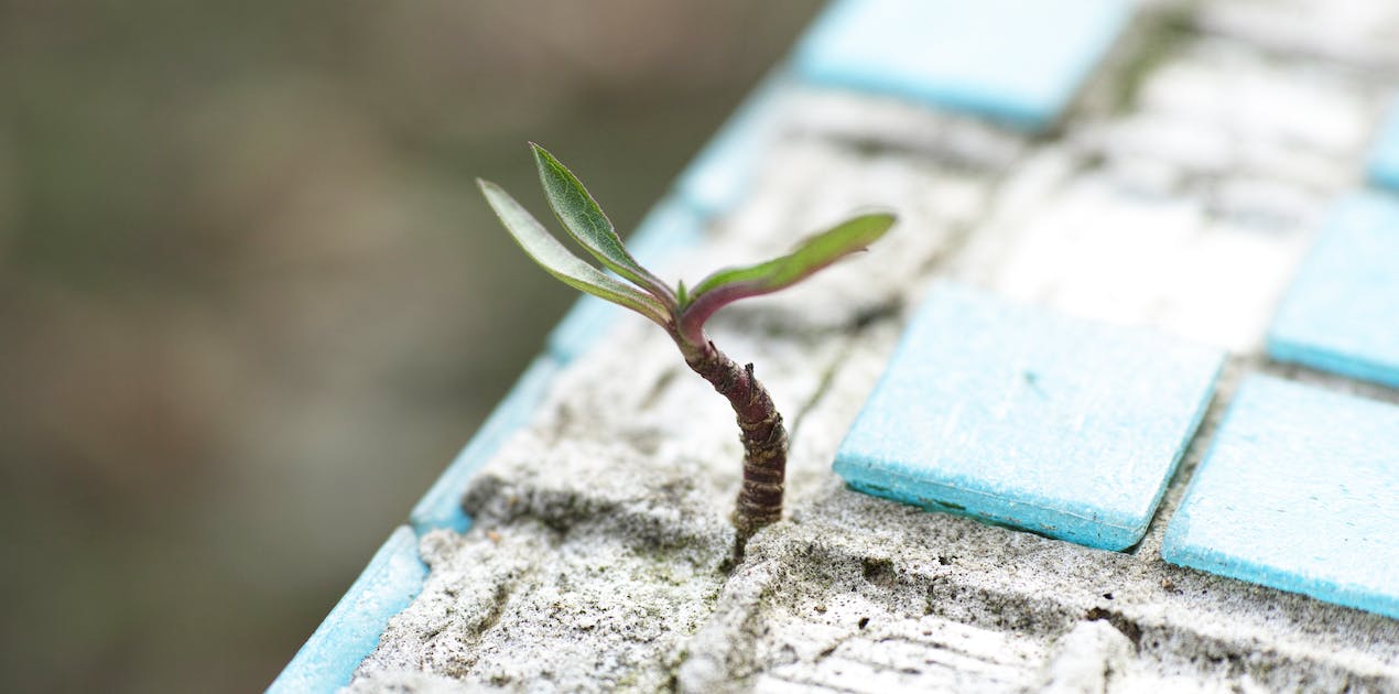 4 điều 'chuẩn không cần chỉnh' bạn cần nhớ trong cuộc sống hiện đại