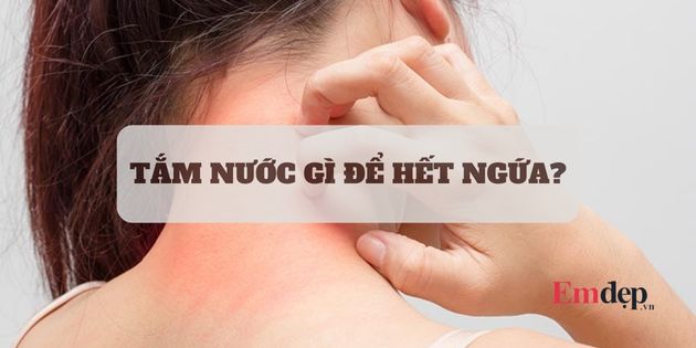 Tắm nước gì để hết ngứa? 17 loại nước tắm trị ngứa hiệu quả