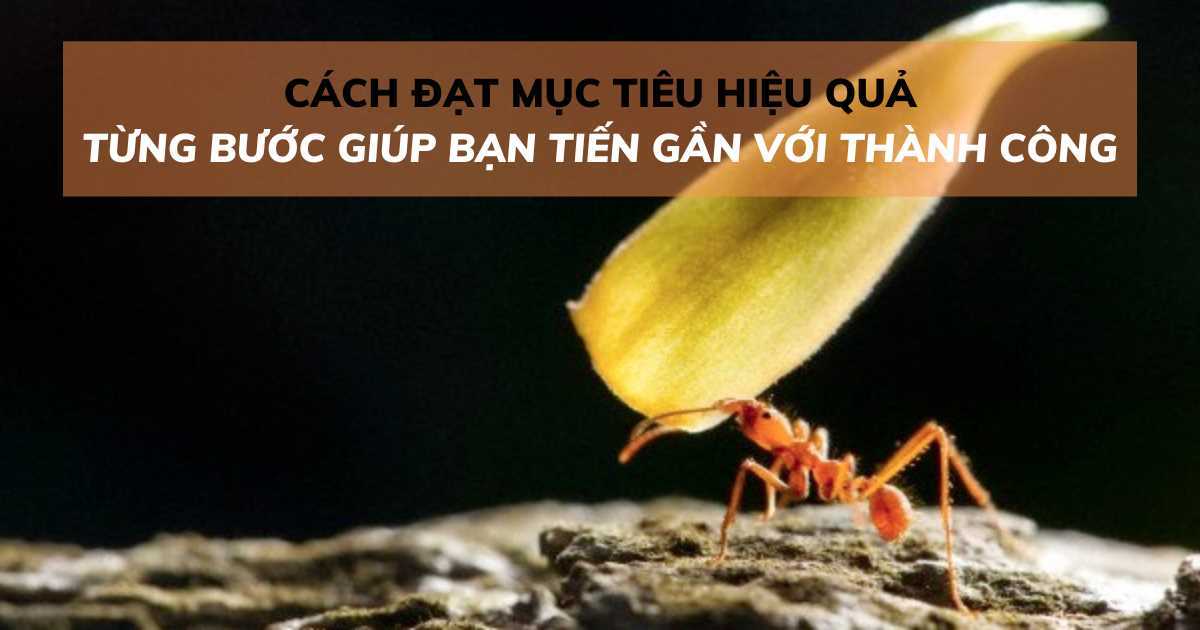 Cách đặt mục tiêu hiệu quả: Từng bước giúp bạn đến gần với thành công hơn