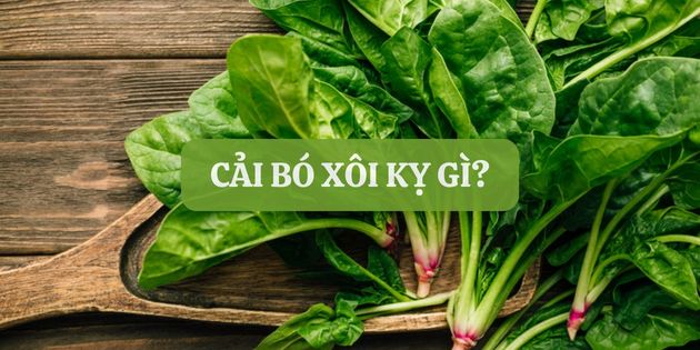 Cải bó xôi kỵ gì? 10 loại thực phẩm không nên ăn với cải bó xôi