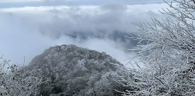 Miền Bắc giảm bao nhiêu độ khi không khí lạnh cực mạnh tràn xuống?

