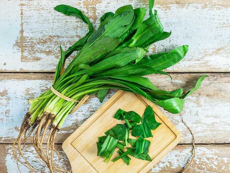 Loại rau gia vị mọc dại đầy vườn đem cuốn thịt được món hấp dẫn, giúp hạ mỡ máu cực tốt


