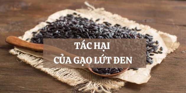 5 tác hại của gạo lứt đen cần lưu ý tránh ảnh hưởng sức khỏe