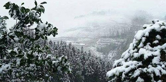 Miền Bắc lại sắp đón không khí lạnh bổ sung, rét đậm rét hại còn kéo dài

