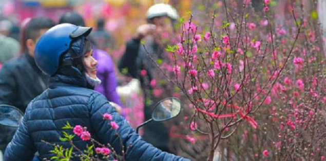Dự báo mới nhất thời tiết Tết Giáp thìn 2024: Miền Bắc đón không khí lạnh mạnh vào sát Tết

