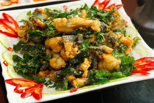 Con ngoài đồng nhưng thịt chắc, bổ hơn gà chiên cùng loại lá gia vị này chữa bệnh đau xương, thấp khớp cực tốt, chị em nội trợ lưu lại ngay