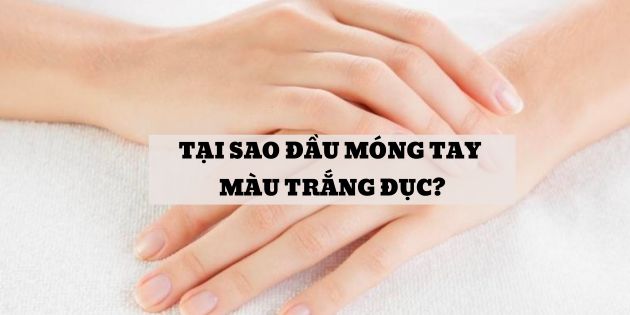 Tại sao đầu móng tay trắng đục? Móng tay bị trắng đục có sao không?