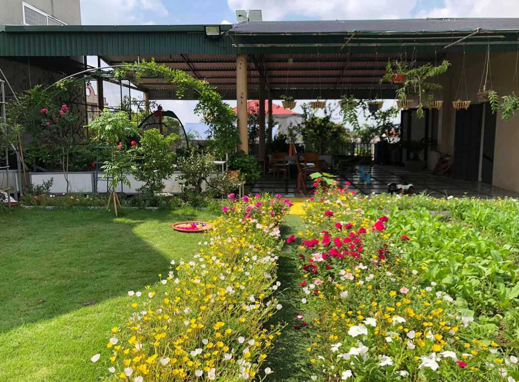 Gia đình Bắc Giang làm vườn sân thượng rộng 500m2, “bội thu” đủ hoa và rau trái