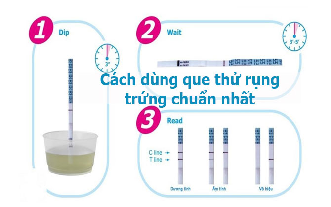 Cách dùng que thử rụng trứng đúng chuẩn giúp bạn xác định thời gian thụ thai