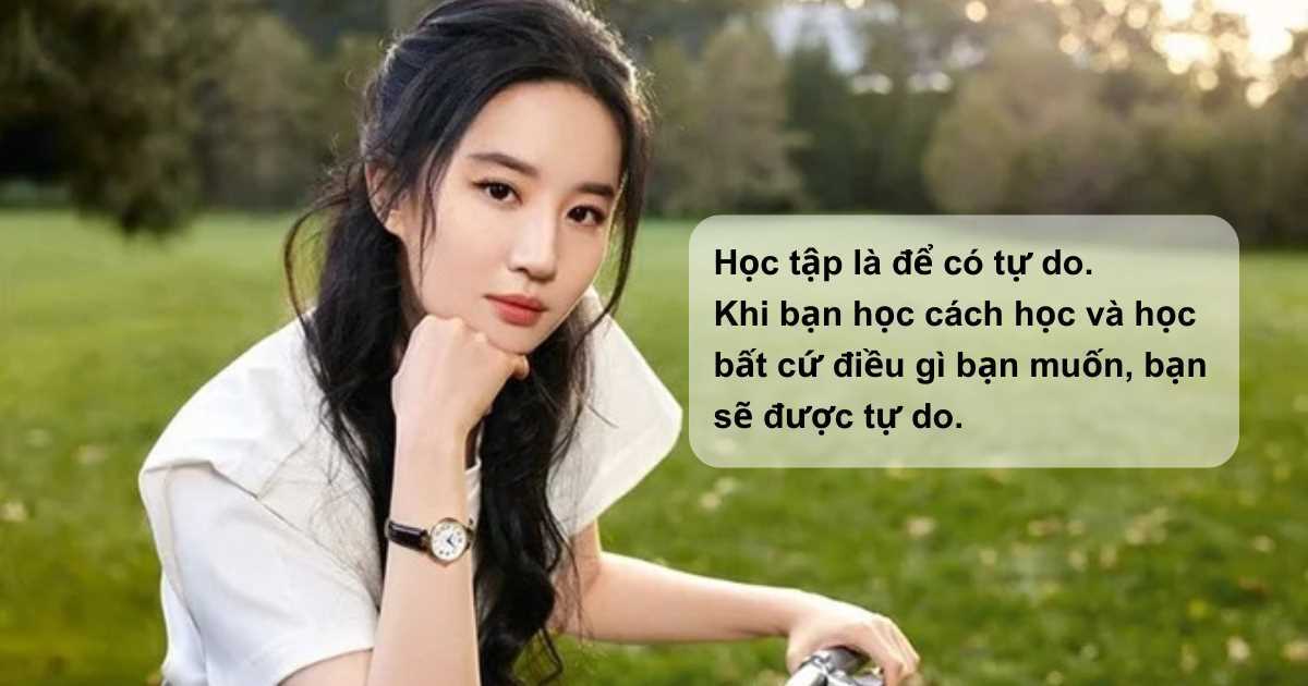 Học hỏi bí kíp sống khôn ngoan của chị đẹp Lưu Diệc Phi từ 'Câu chuyện hoa hồng'