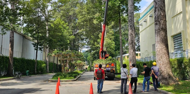Cành cây tại Công viên Tao Đàn rơi trúng nhóm người tập thể dục, 2 người tử vong

