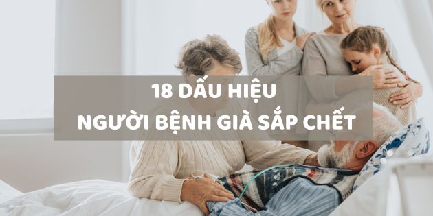 18 dấu hiệu của người bệnh già sắp chết giúp gia đình chuẩn bị tâm lý