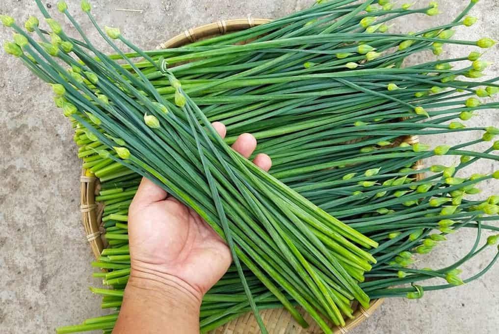 'Thần dược' không chỉ giúp chị em đẹp da, mượt tóc mà còn tăng cường sinh lý cho cánh mày râu