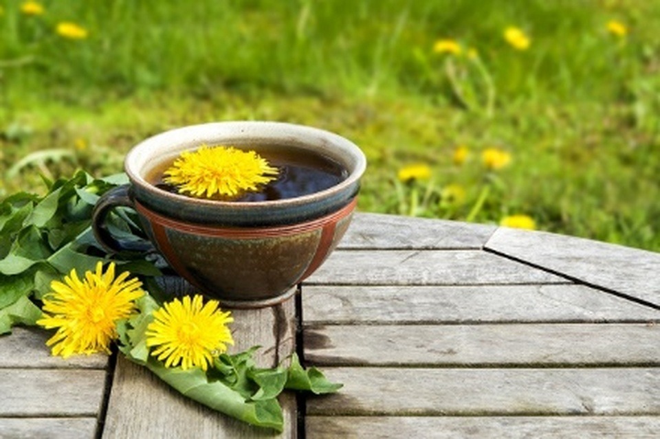 Không ngờ loại rau dại ven đường này lại giúp thanh nhiệt, giải độc cơ thể, tăng sức đề kháng trong ngày giao mùa