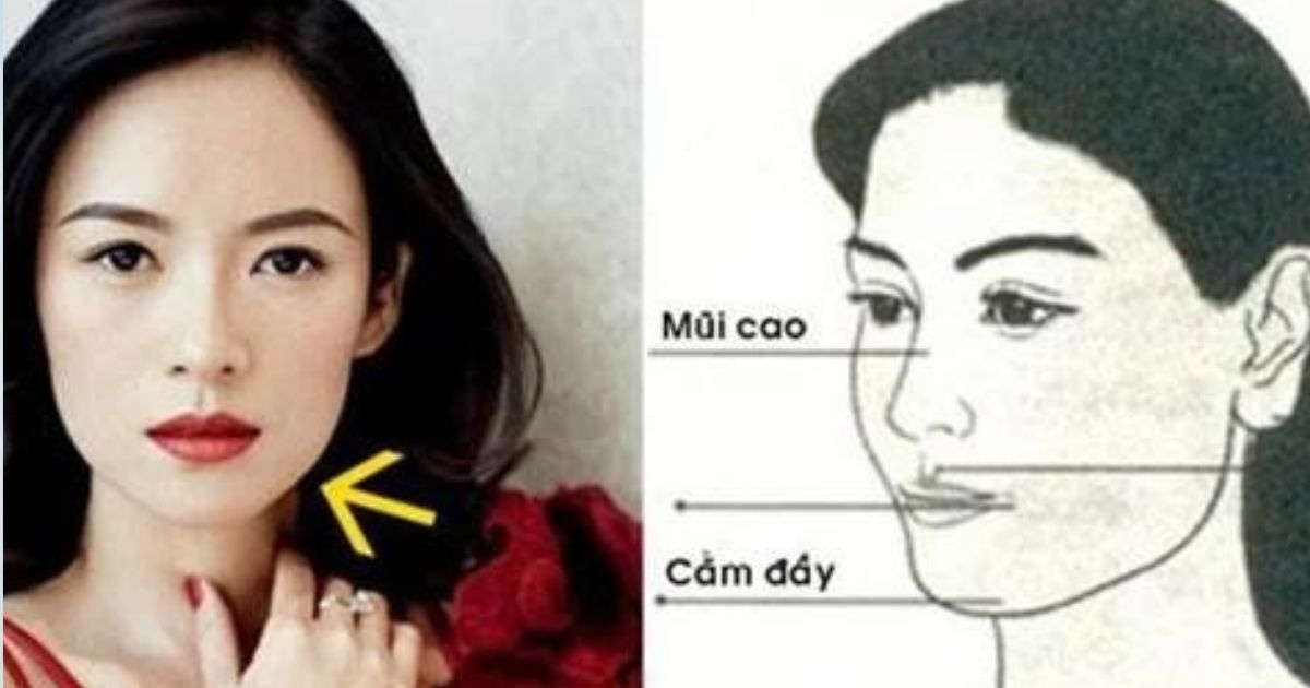 5 đặc điểm trên gương mặt tiết lộ bạn dễ trở thành tỷ phú trong tương lai