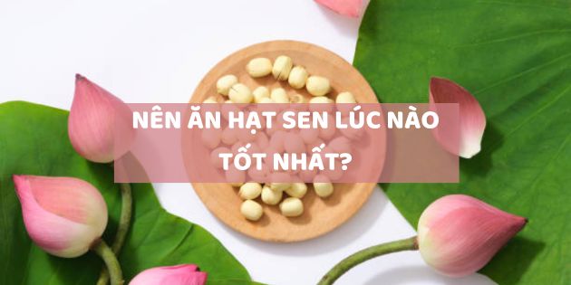 Nên ăn hạt sen lúc nào để có hiệu quả tốt nhất? Lưu ý khi ăn