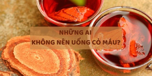 Những ai không nên uống cỏ máu? Lưu ý khi uống cỏ máu