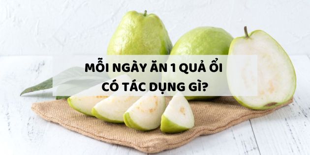 Mỗi ngày ăn 1 quả ổi có tác dụng gì, có tốt không? 13 công dụng của ổi