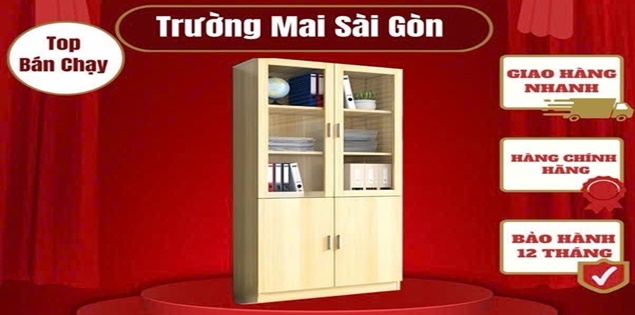 50+ mẫu tủ tài liệu, tủ hồ sơ văn phòng đẹp giá rẻ tại TPHCM