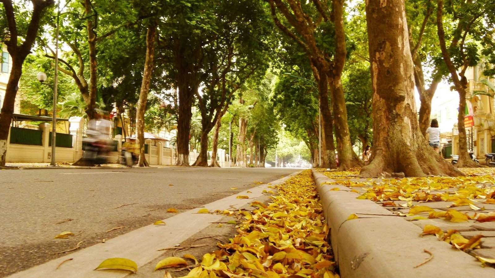 Khi nào miền Bắc hết mưa, nắng ấm?