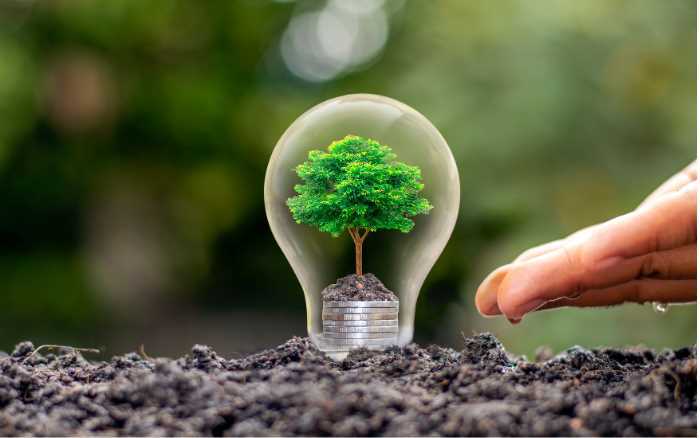 Mỗi kWh tiết kiệm – Một tán lá giữ lại cho Trái Đất
