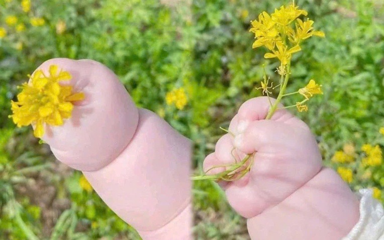 Bố mẹ có biết đặc điểm đôi bàn tay của bé cũng gợi mở về tương lai, năng lực và tính cách con sau này