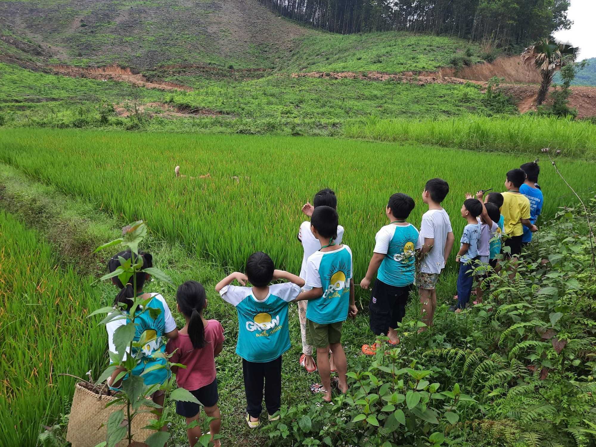 Nghỉ hè về quê với ông bà hay gửi con đến một trại hè xa lạ - bạn chọn điều nào cho con?