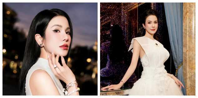 Diệp Lâm Anh bị công kích