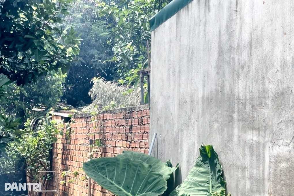 Vụ thảm sát khiến 4 người thương vong: Cậu bé hàng xóm cứu bạn thoát chết