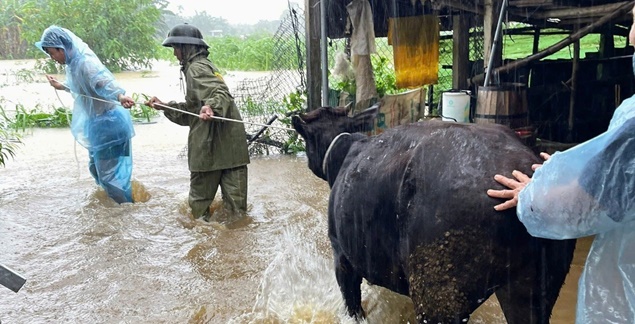 Trung Bộ sắp mưa rất to, miền Bắc đón không khí lạnh