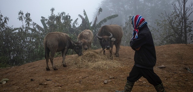 Trung Bộ tiếp tục mưa lớn, rét đậm bao trùm miền Bắc