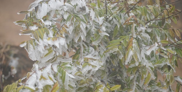 Dự báo thời tiết 21/11/2025: Miền Bắc có thể xuất hiện sương muối, Nam Trung Bộ còn mưa