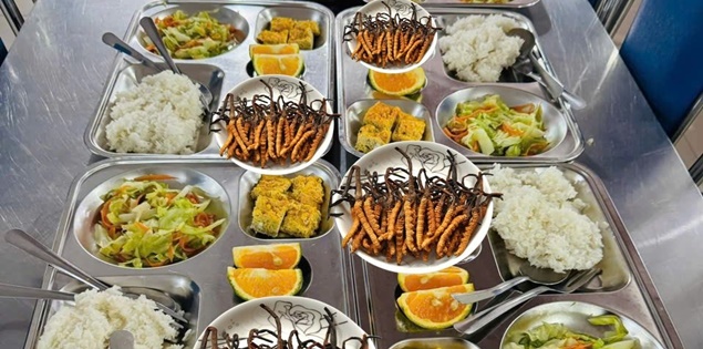 Thực hư bữa ăn có đông trùng hạ thảo xa xỉ ở trường học Hà Nội?