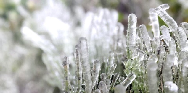 Miền Bắc khả năng có băng giá, bão Koto "đứng yên" trên Biển Đông