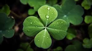 Năm Bính Ngọ 3 con giáp được Thần tài lựa chọn, gặp nhiều may mắn, thu nhập dồi dào bậc nhất