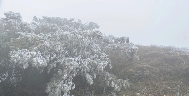 Miền Bắc đón thêm đợt không khí lạnh mạnh, có nơi dưới 5 độ C