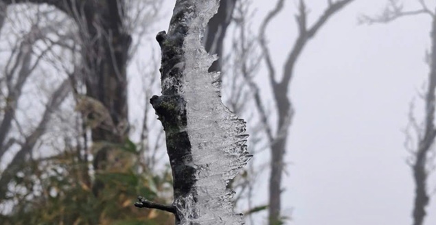 Băng giá xuất hiện ở miền Bắc