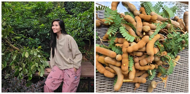 H'Hen Niê "tri ân" người hâm mộ theo cách mộc mạc đặc biệt