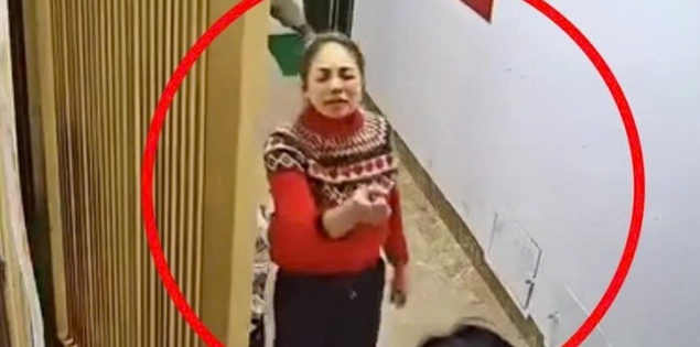 Tạm giữ phụ nữ hành hung hàng xóm ở chung cư Hà Nội