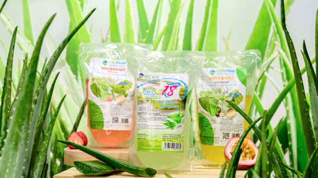 Tất tần tật về công dụng của nha đam và lưu ý quan trọng khi sử dụng